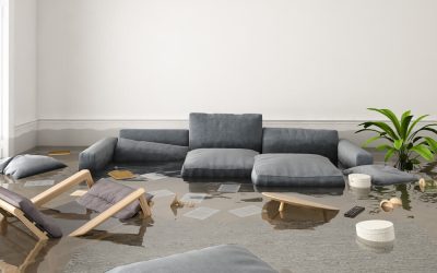 First 5 steps to take when your house floods