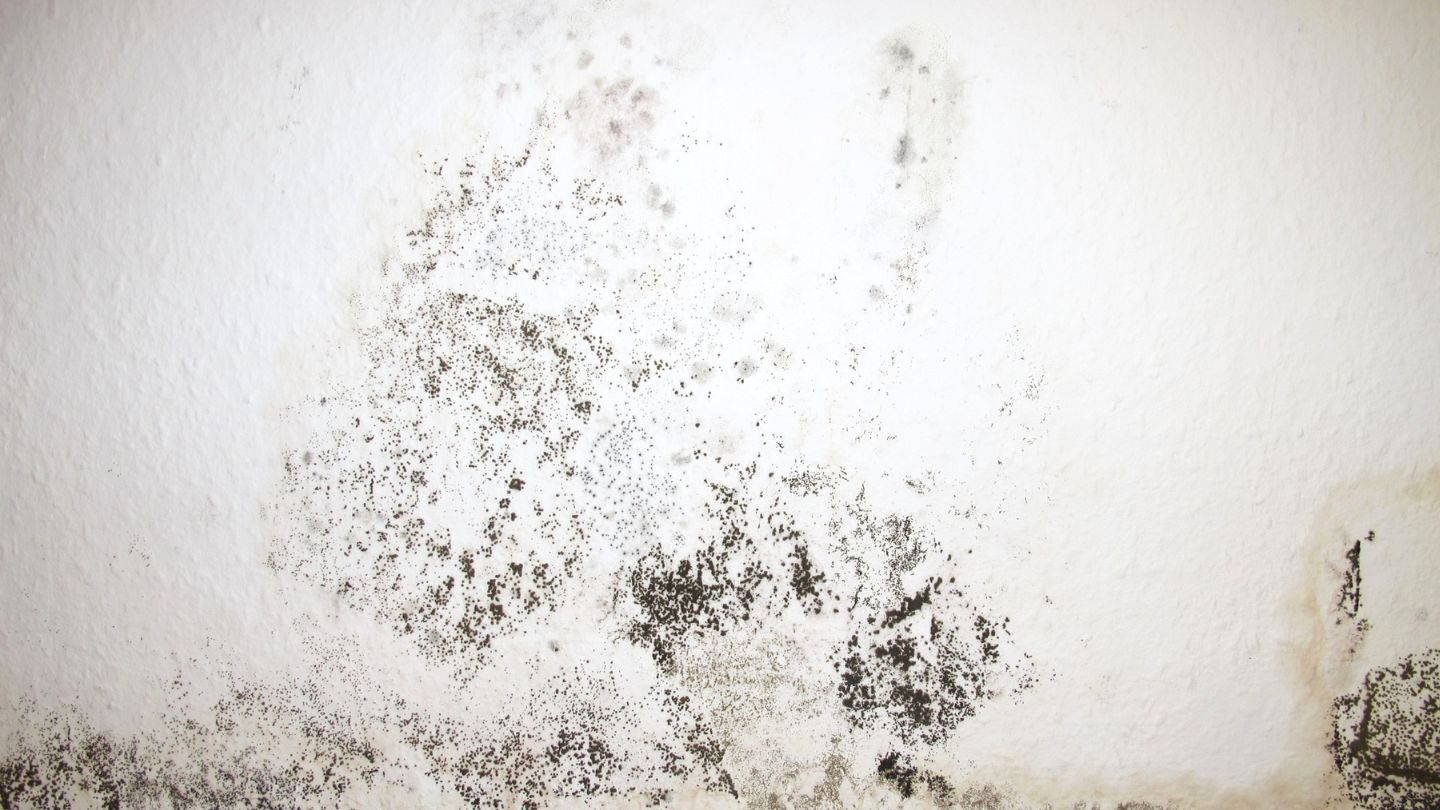 Potential Health Hazards from Water Damage