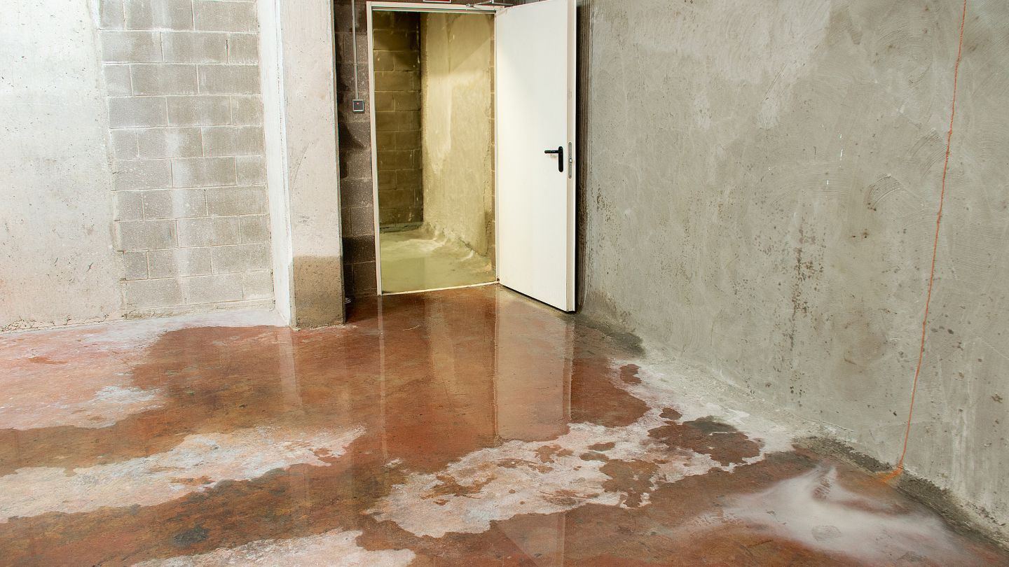 The Importance of Professional Water Damage Restoration Services