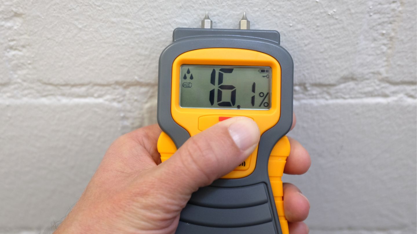 Tools to Detect Water Damage