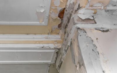 Top Tips to Identify What Are the Signs of Water Damage in Walls