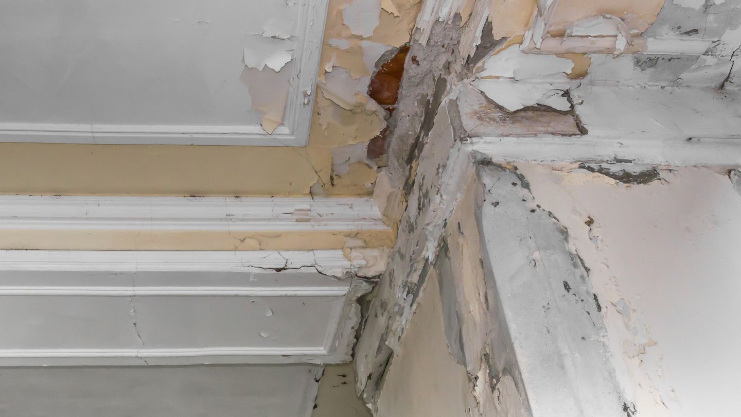 Top Tips to Identify What Are the Signs of Water Damage in Walls Top Tips to Identify What Are the Signs of Water Damage in Walls