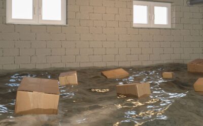 Understanding How Fayetteville’s Climate Increases Flooding Risk and When to Call Flood Damage Restoration Services