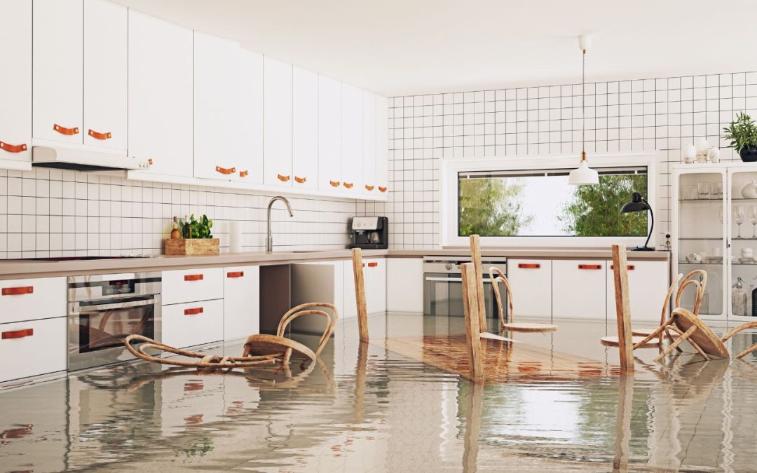 Emergency Water Removal: Fast, Reliable Solutions for Your Home
