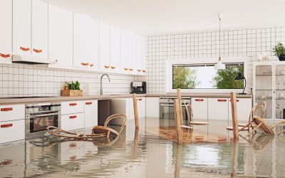 Emergency Water Removal: Fast, Reliable Solutions for Your Home