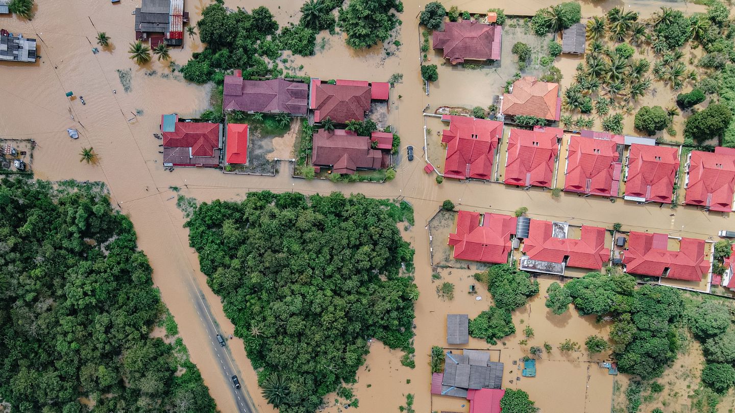 Enhance Landscaping for Flood Management