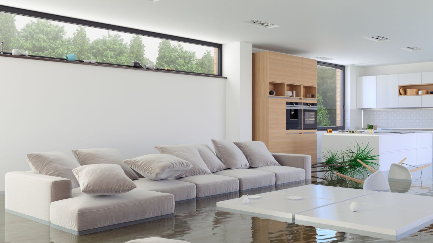 Evaluate Their Restoration Process