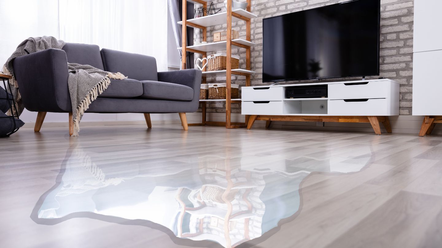 Understanding the Water Removal Process