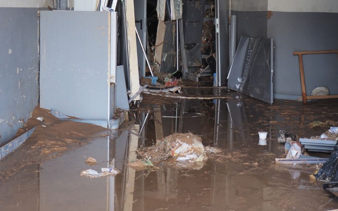 Comprehensive Guide to Understanding Commercial Water Damage Causes and Professional Solutions