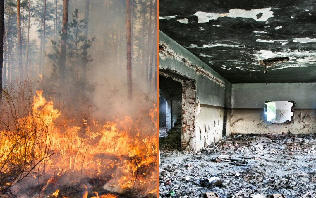 Essential Guide to Wildfire vs Building Fire Restoration: What Homeowners in Fayetteville Need to Know