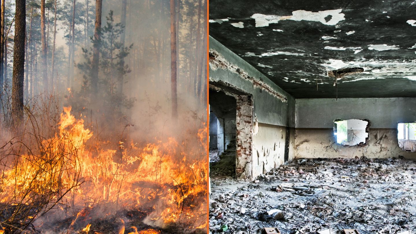 Essential Guide to Wildfire vs Building Fire Restoration: What Homeowners in Fayetteville Need to Know Essential Guide to Wildfire vs Building Fire Restoration: What Homeowners in Fayetteville Need to Know