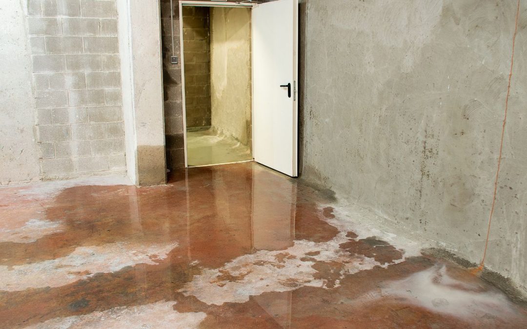 The Impact of Delayed Flood Damage Restoration on Your Property and Finances