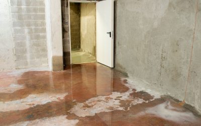 The Impact of Delayed Flood Damage Restoration on Your Property and Finances