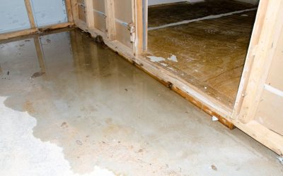 How Long Does Water Damage Restoration Take? A Quick Guide