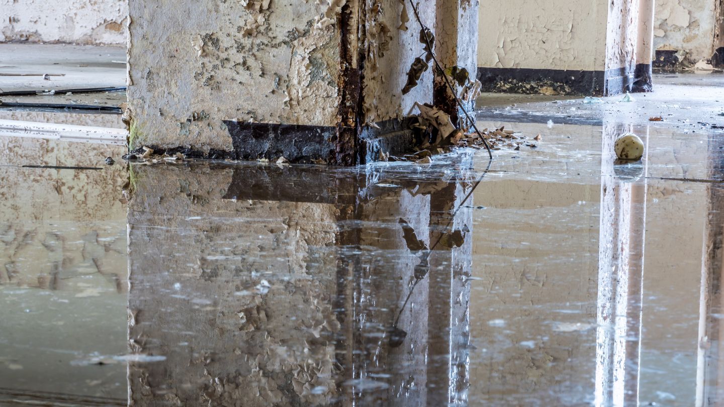 Typical Timelines for Water Damage Restoration