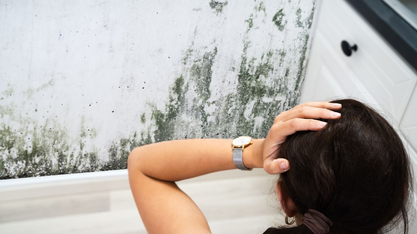 How Dangerous Is Mold From Water Damage? How Dangerous Is Mold From Water Damage?
