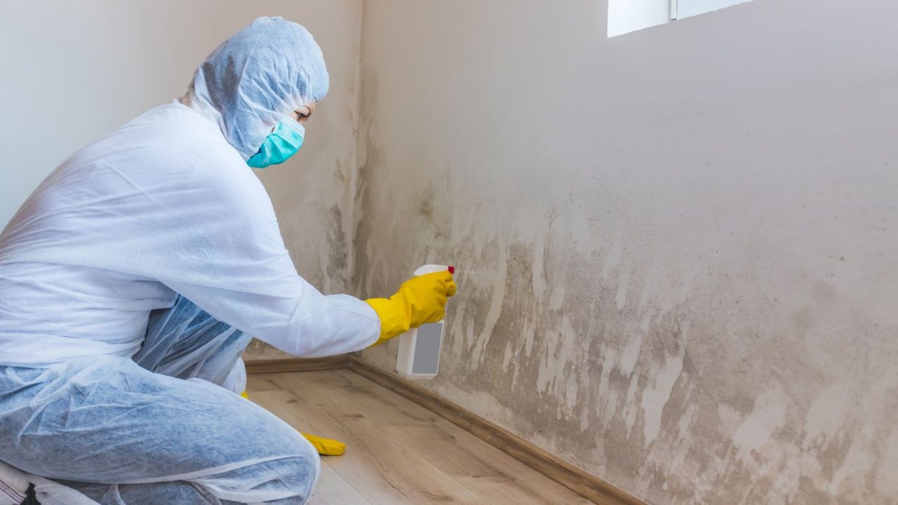 How Long Does Mold Remediation Take? Timeline & Key Steps