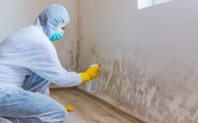 How Long Does Mold Remediation Take?