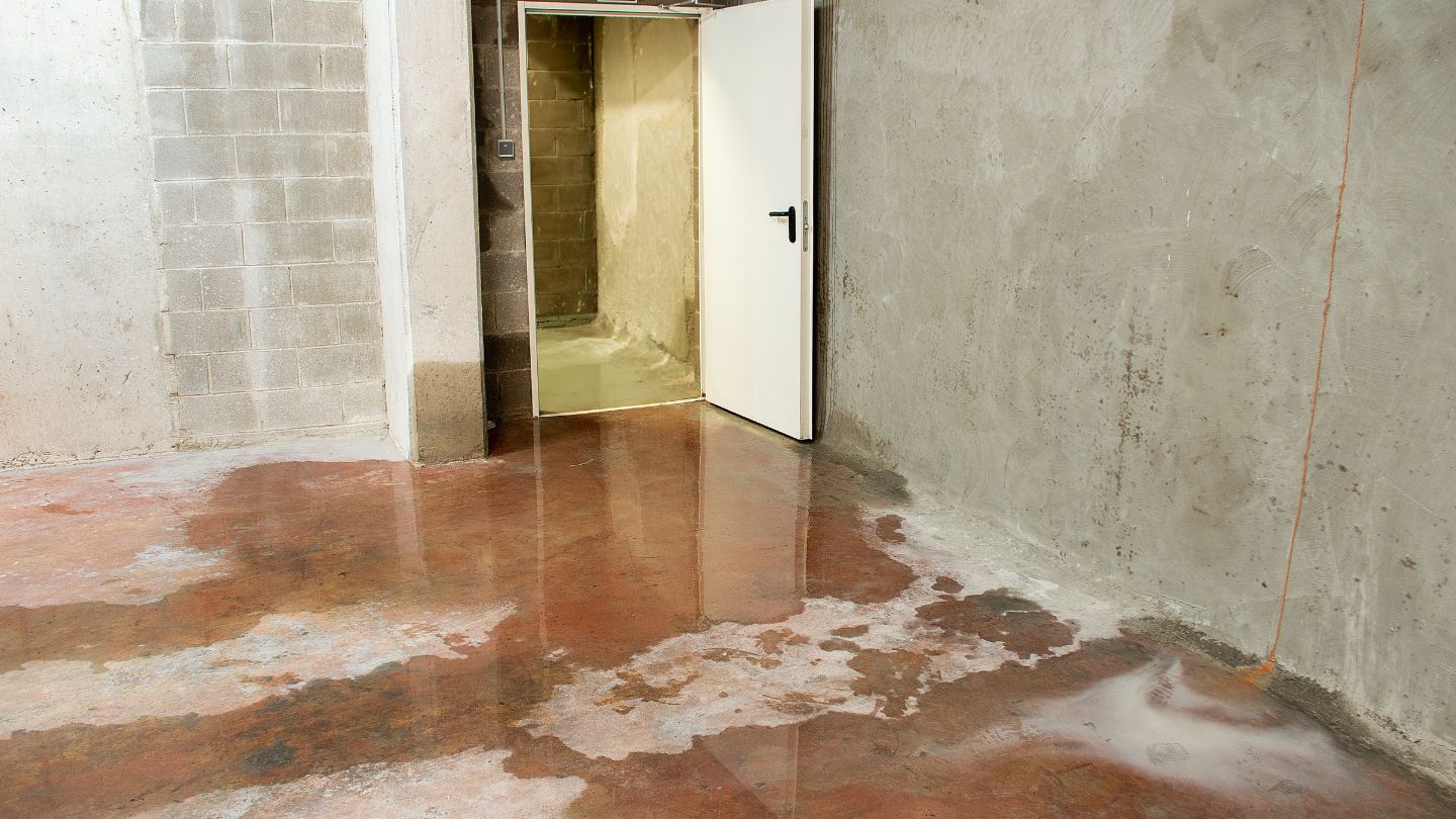 Immediate Steps to Take After Water Damage