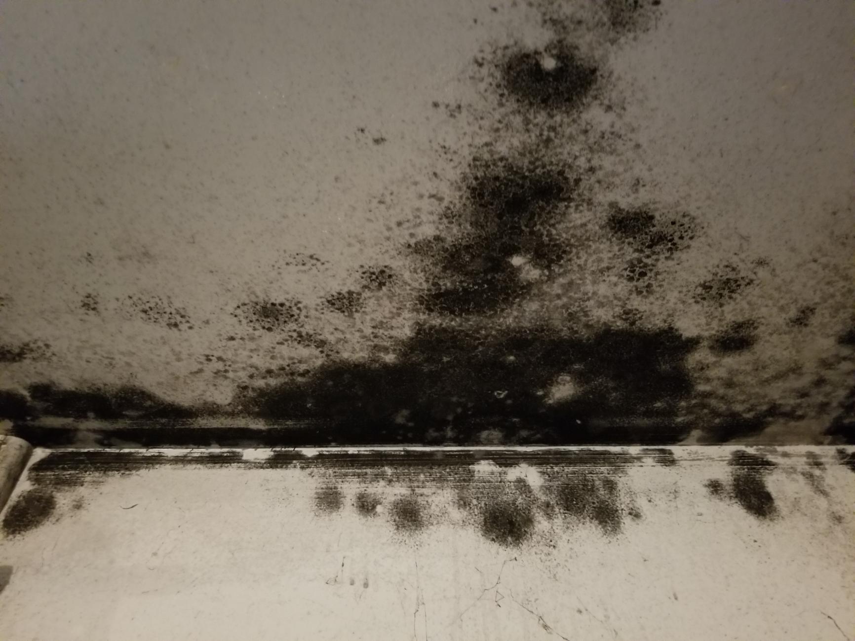 Buford-GA-911-Mold-Damage-1 How Long Does Mold Remediation Take?